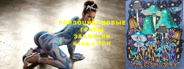 мяу мяу мука Богданович